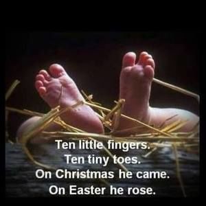 Meet your Posher, Elsa